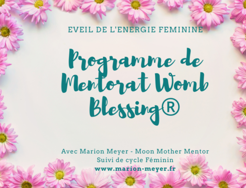 Programme de Mentorat Womb Blessing®