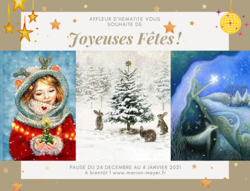 JOYEUSES FÊTES et douce fin d’Année !