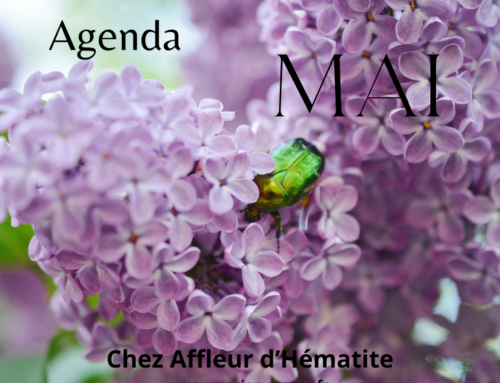 AGENDA MAI 2025