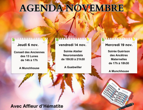 AGENDA de NOVEMBRE