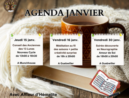 AGENDA DE ❄️ JANVIER  ❄️2026