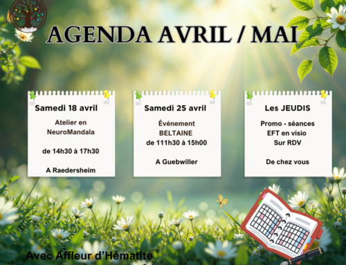 AGENDA AVRIL / MAI 2026